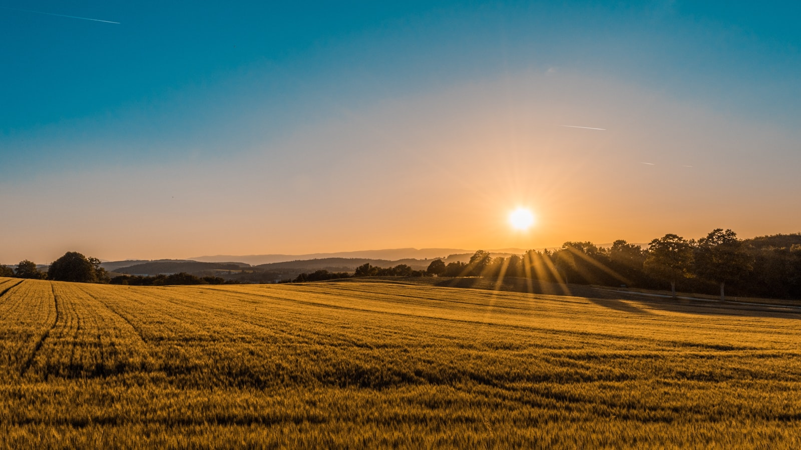 Crop Nutrition